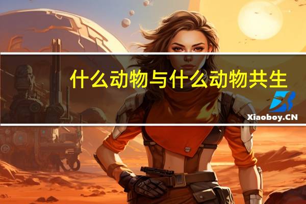 什么动物与什么动物共生