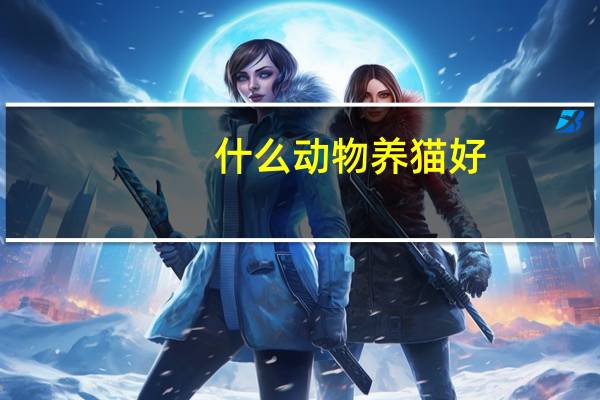 什么动物养猫好