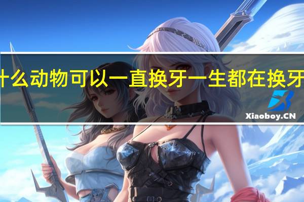 什么动物可以一直换牙 一生都在换牙的动物