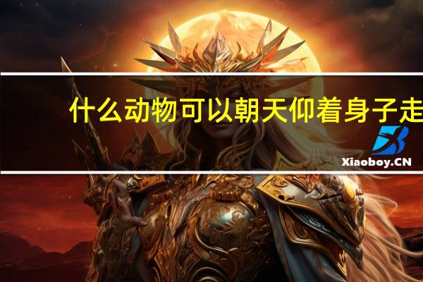 什么动物可以朝天仰着身子走?