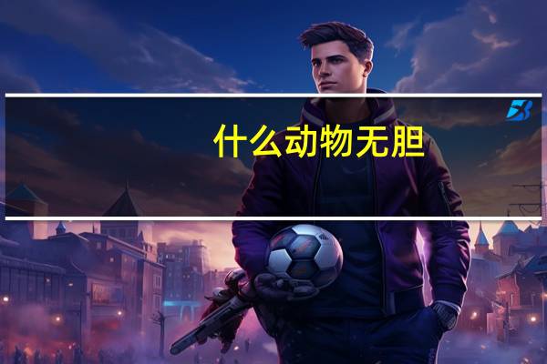 什么动物无胆