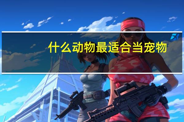 什么动物最适合当宠物