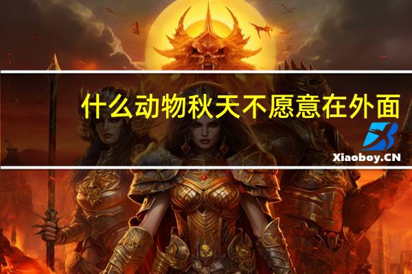什么动物秋天不愿意在外面