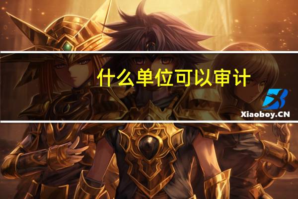 什么单位可以审计