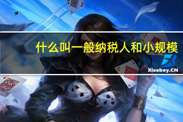 什么叫一般纳税人和小规模（什么叫一般纳税人和小规模纳税人）