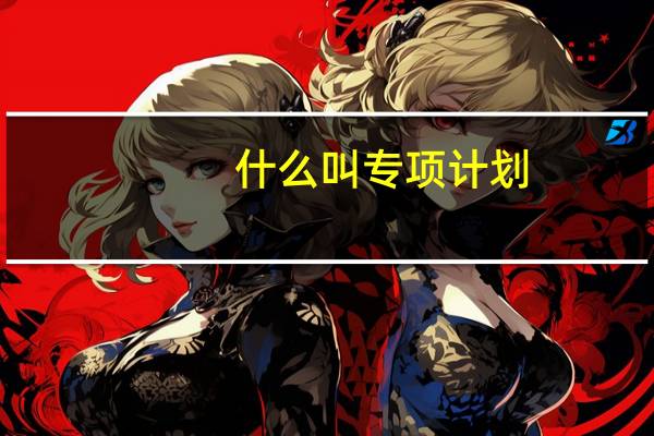 什么叫专项计划