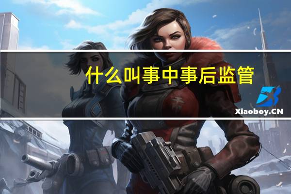 什么叫事中事后监管（什么叫 事中事后监管）