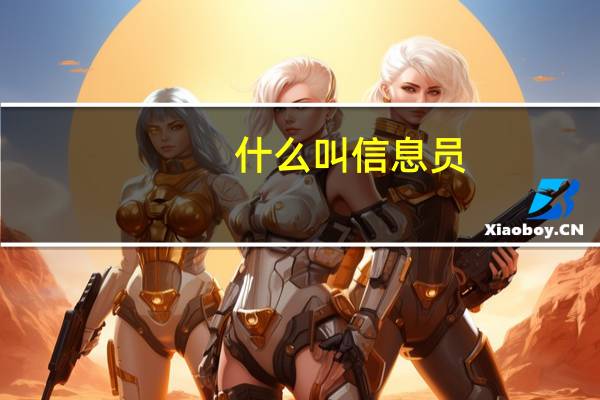 什么叫信息员