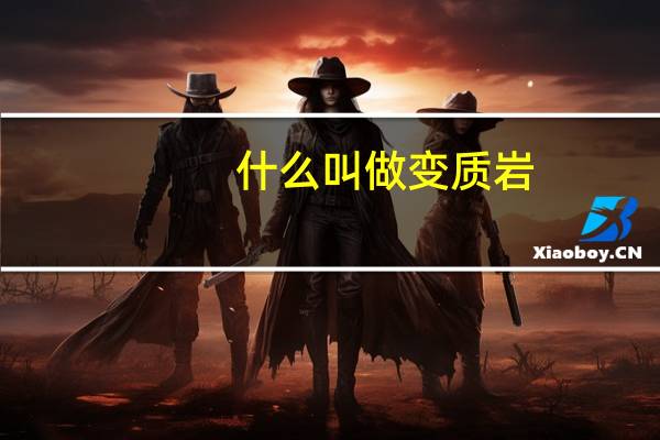什么叫做变质岩（什么叫做变额保险?）