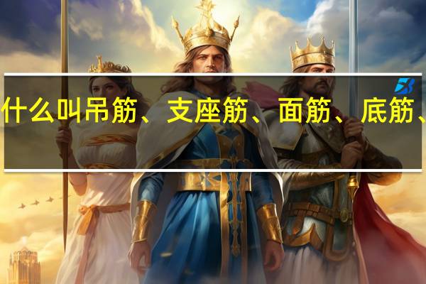 什么叫吊筋、支座筋、面筋、底筋、腰筋