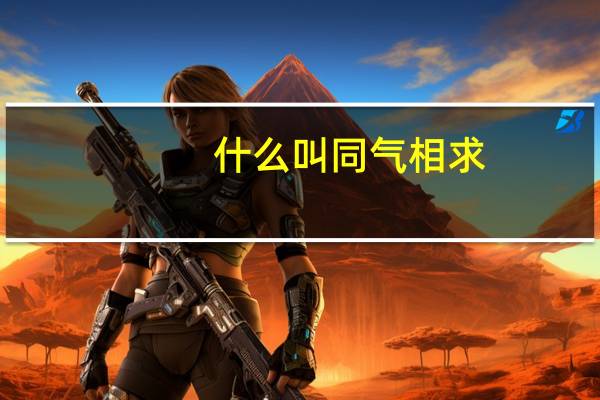 什么叫同气相求