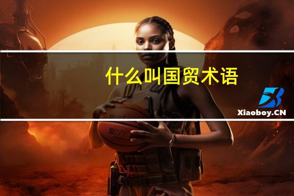 什么叫国贸术语，还有什么发盘，询盘，报价，接受，发盘和询盘是一样的吗