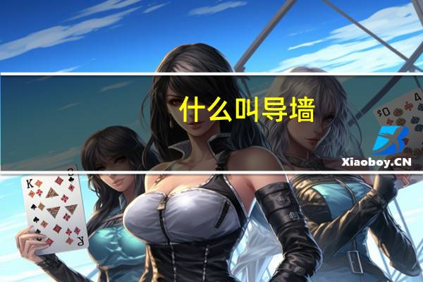 什么叫导墙