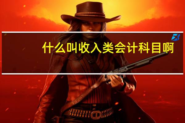 什么叫收入类会计科目啊