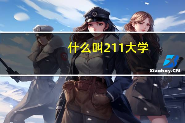 什么叫211大学