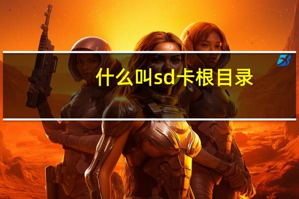 什么叫sd卡根目录（什么叫sd卡根目录）