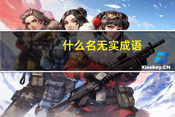 什么名无实成语