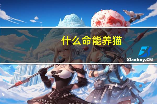 什么命能养猫