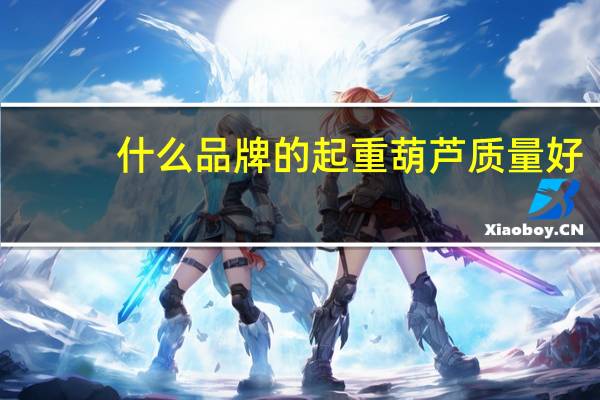 什么品牌的起重葫芦质量好