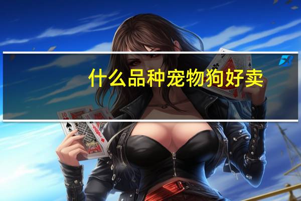 什么品种宠物狗好卖