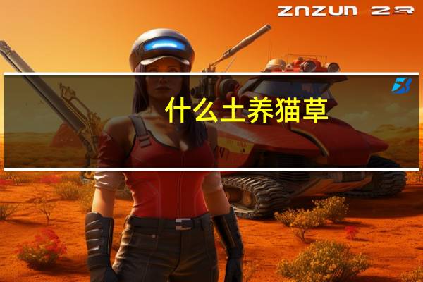 什么土养猫草