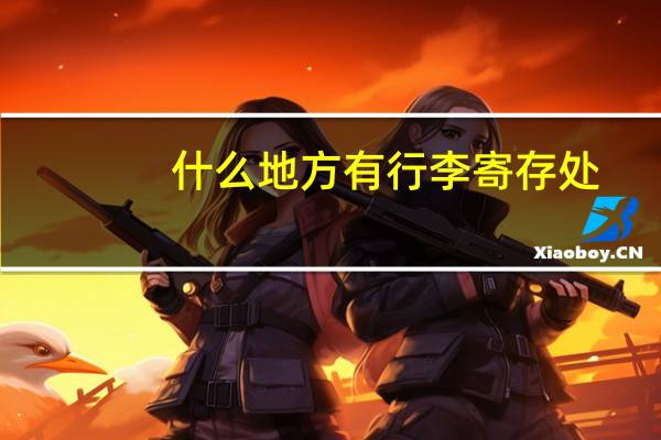 什么地方有行李寄存处？