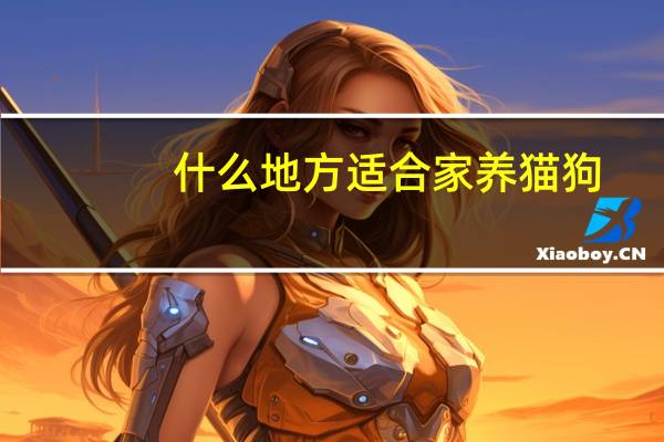 什么地方适合家养猫狗