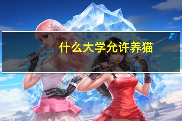 什么大学允许养猫