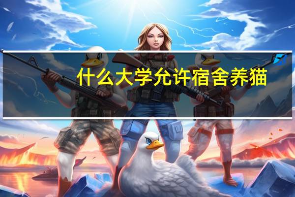 什么大学允许宿舍养猫