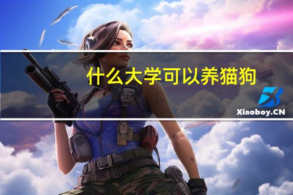 什么大学可以养猫狗