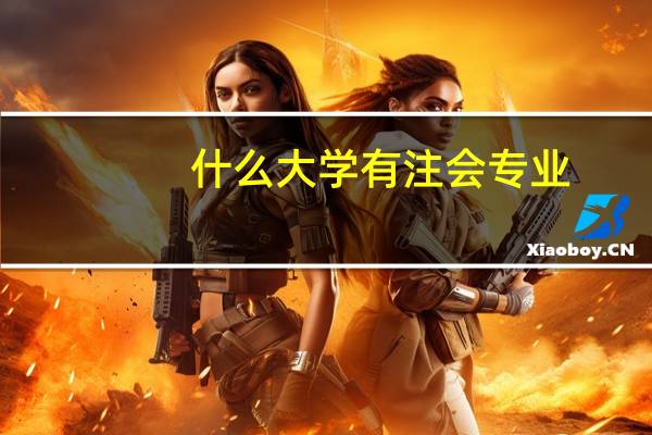 什么大学有注会专业