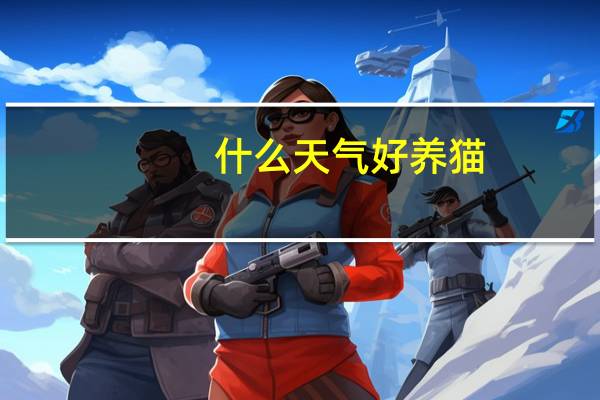 什么天气好养猫