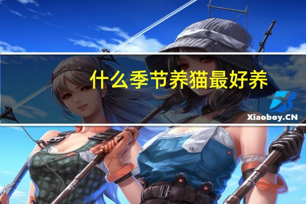 什么季节养猫最好养