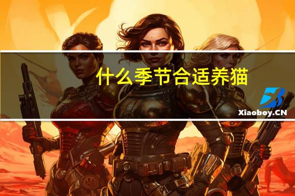 什么季节合适养猫