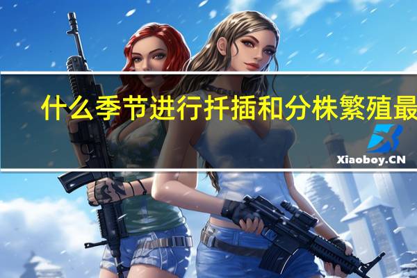 什么季节进行扦插和分株繁殖最好