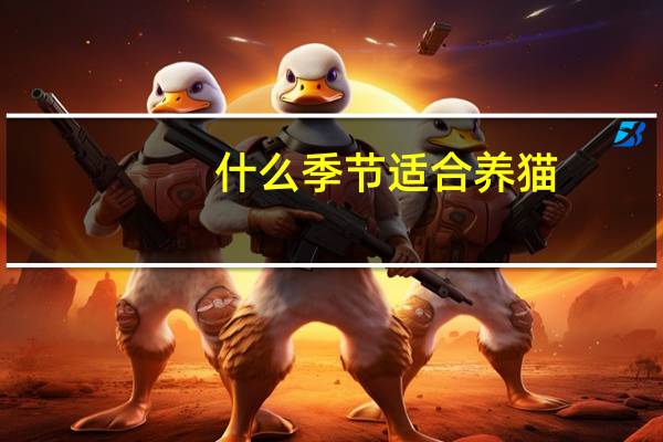 什么季节适合养猫