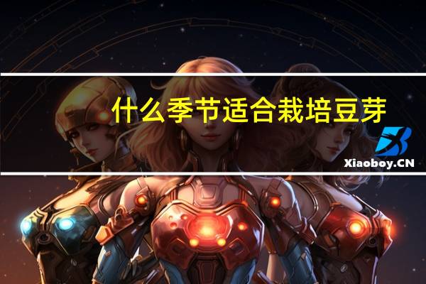 什么季节适合栽培豆芽