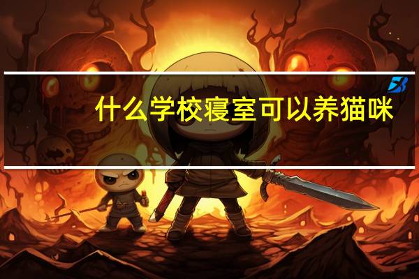 什么学校寝室可以养猫咪