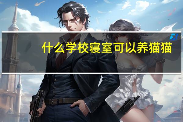 什么学校寝室可以养猫猫