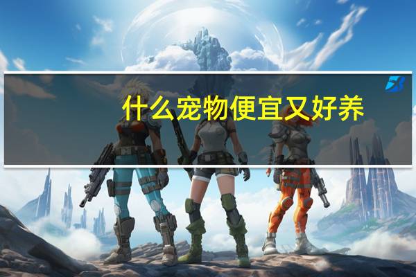 什么宠物便宜又好养