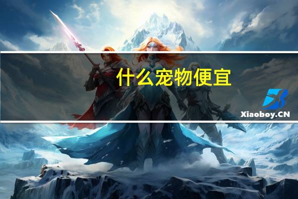 什么宠物便宜