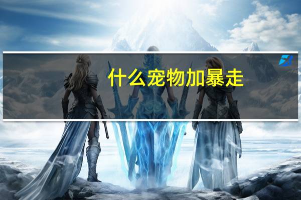 什么宠物加暴走