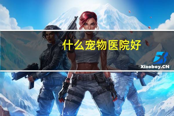 什么宠物医院好