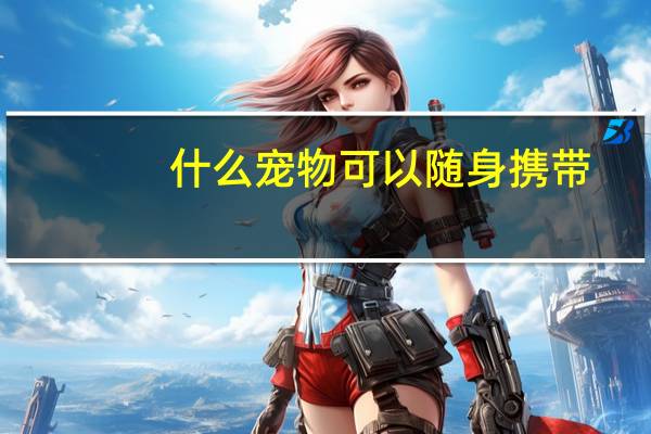 什么宠物可以随身携带