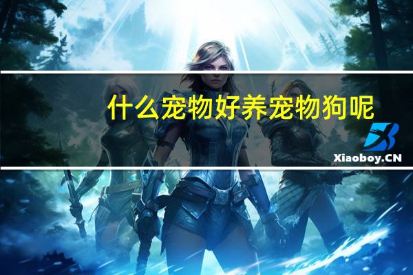 什么宠物好养宠物狗呢