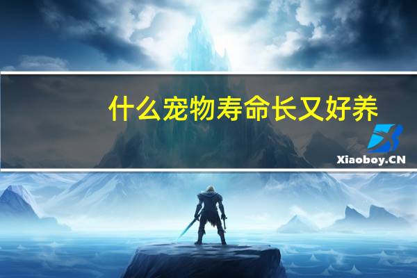 什么宠物寿命长又好养