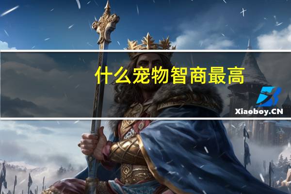 什么宠物智商最高
