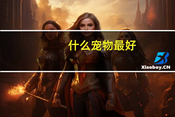 什么宠物最好
