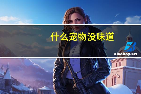 什么宠物没味道