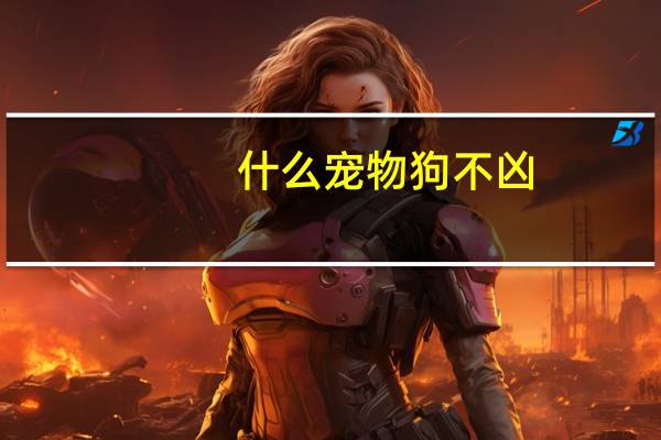 什么宠物狗不凶